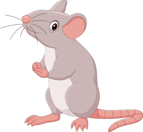 Vektor Illustration Von Cartoon Happy Mouse Auf Weißem Hintergrund — Stockvektor