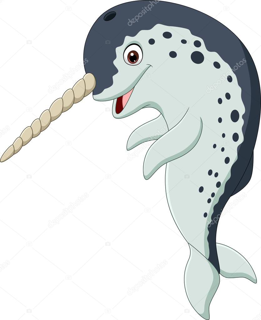 Vector illustration of Cartoon narwhal isolated on white background