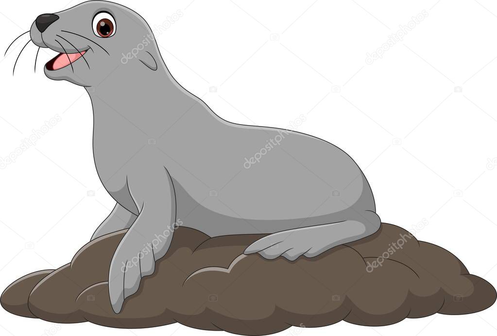 Vector illustration of Cartoon funny seal on white background