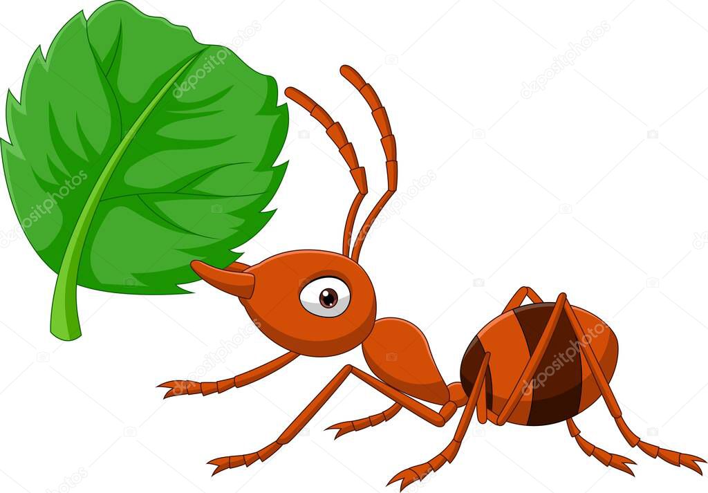 Vector illustration of Cartoon ant with green leaf