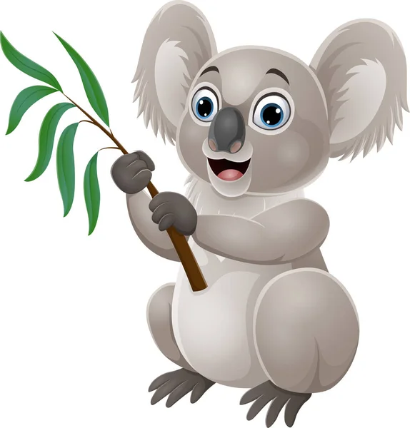 Vector Illustration Cartoon Koala Holding Branch Eucalyptus Tree — Stock Vector