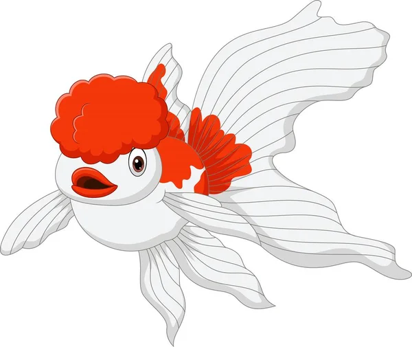 Illustration Vectorielle Cartoon Oranda Poisson Rouge Sur Fond Blanc — Image vectorielle