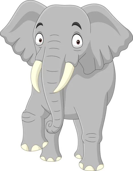 Vector Illustratie Van Cartoon Olifant Geïsoleerd Witte Achtergrond — Stockvector