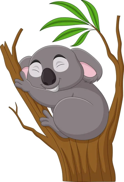 Ilustración Vectorial Dibujos Animados Koala Durmiendo Una Rama Árbol — Vector de stock