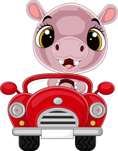 Vector Illustration Cartoon Baby Hippo Driving Red Car — Stock Vector
