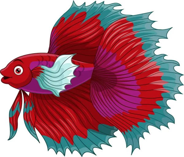 Vector Illustration Cartoon Red Siamese Fighting Fish — Stock Vector