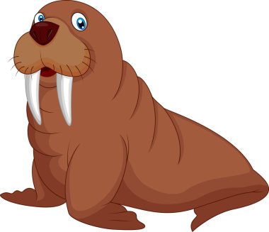 Cartoon walrus clipart