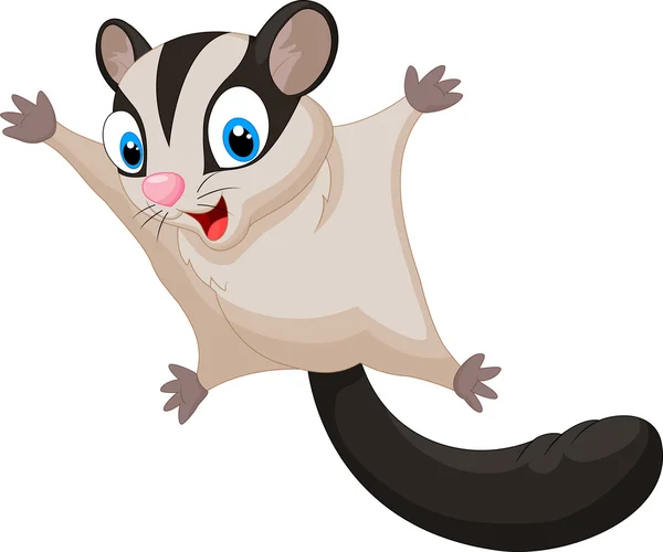 Sugar glider Vector Art Stock Images | Depositphotos Sugar glider Vector Art Stock Images | Depositphotos