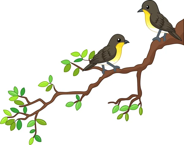 Two song birds on spring branch — Stock Vector