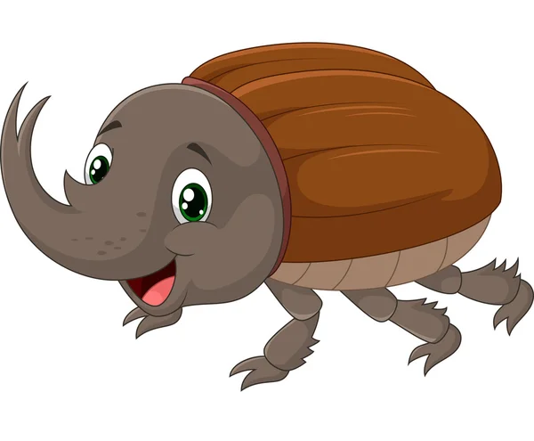 Rhinoceros beetle — Stockvector