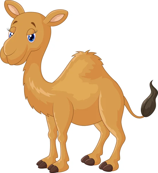 Caricatura de camello — Vector de stock