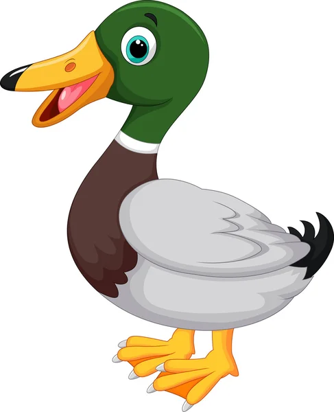 Cute cartoon duck — Stock Vector