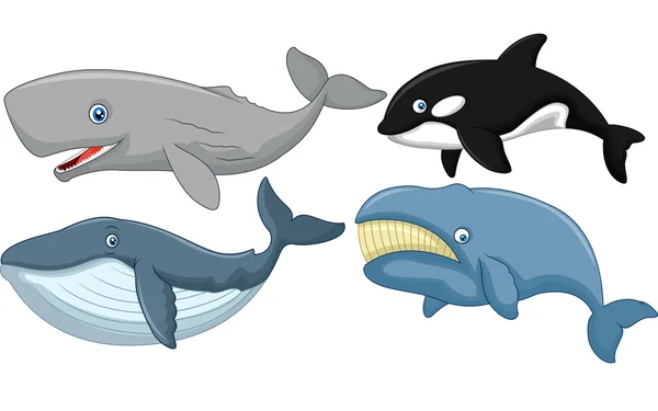 Colección de ballenas de dibujos animados — Vector de stock