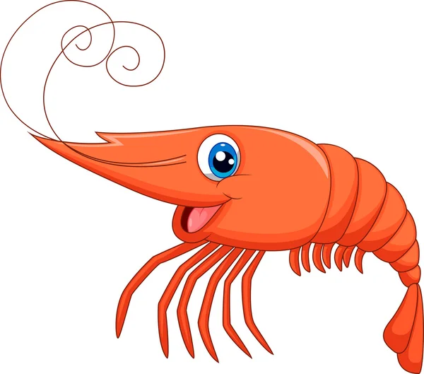 Mignon dessin animé crevettes — Image vectorielle