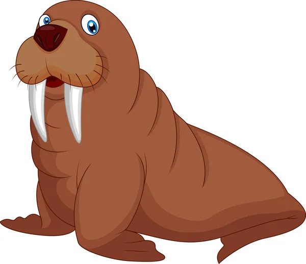 Cartoon walrus — Stockvector