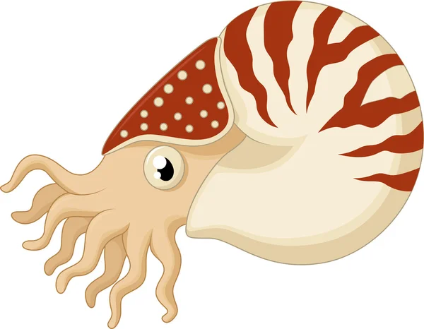 Desenho animado nautilus —  Vetores de Stock