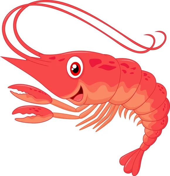 Cute shrimp cartoon — Stock Vector