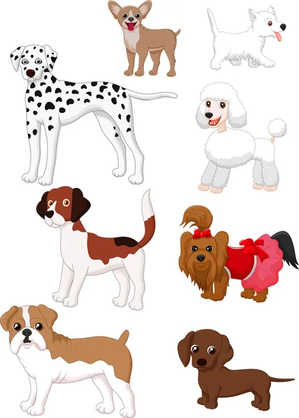 Συλλογή σκύλο κινουμένων σχεδίων — Διανυσματικό Αρχείο