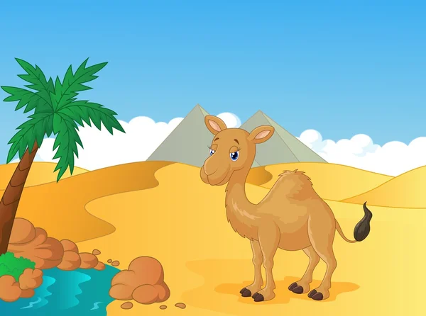 Camelo dos desenhos animados com fundo deserto — Vetor de Stock