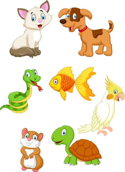 Cartoon pet — Stock Vector