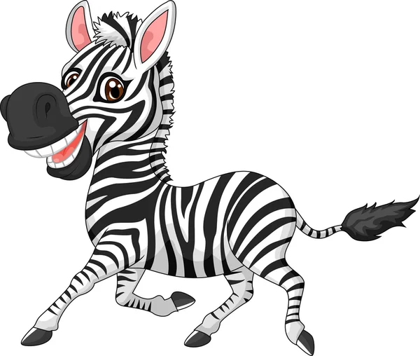 Cute cartoon zebra — Stock Vector