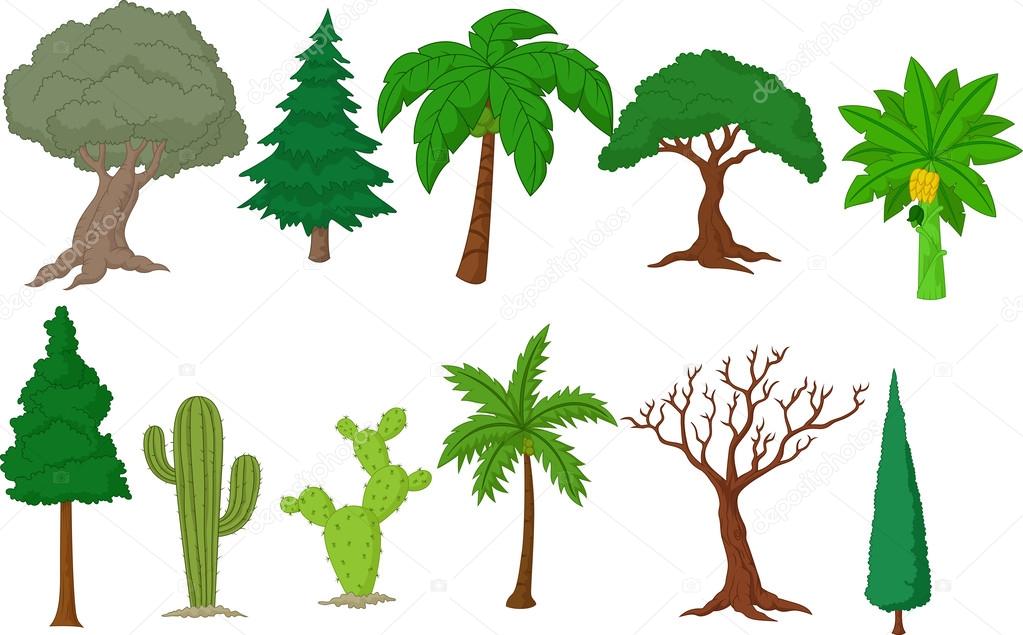 Various tree cartoon collection