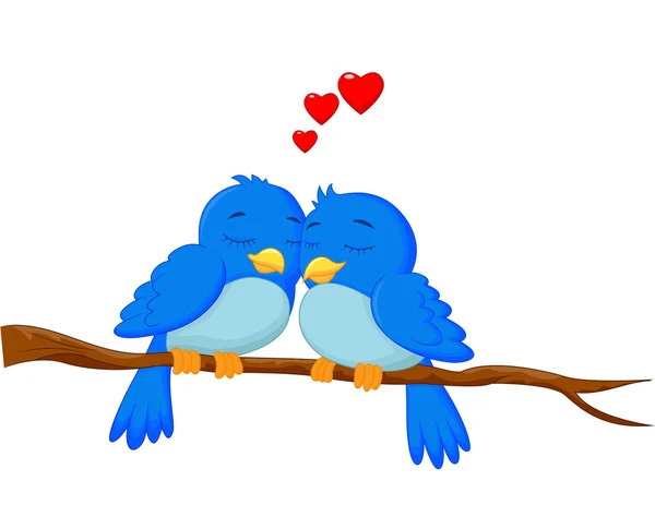 Fåglar par tecknade i kärlek — Stock vektor