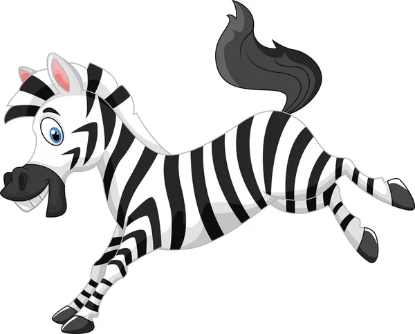 Cartoon little funny zebra — Stock Vector