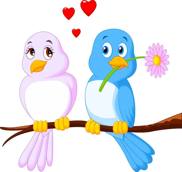 Cartoon couple bird on a branch — Stock Vector