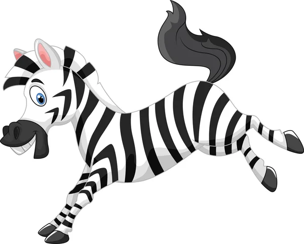 Küçük komik zebra çizgi film — Stok Vektör