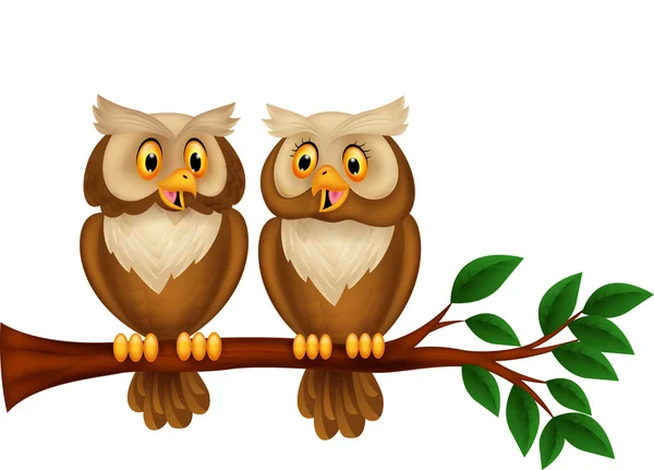 Cartoon couple owl on a branch — Stock Vector