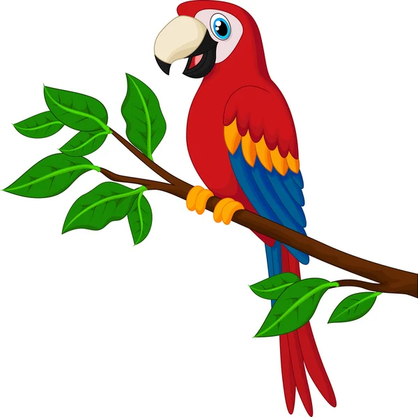 Γελοιογραφία κόκκινο παπαγάλος σε ένα υποκατάστημα — Διανυσματικό Αρχείο