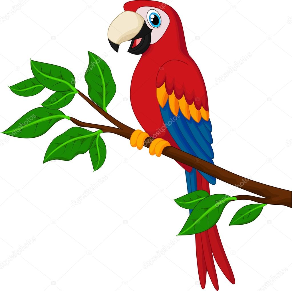 Cartoon red parrot on a branch