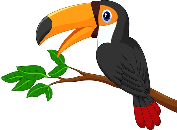 Cartoon toucan bird on a tree branch — Stock Vector