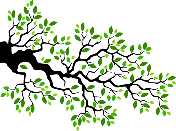 Feuille verte branche arbre dessin animé — Image vectorielle