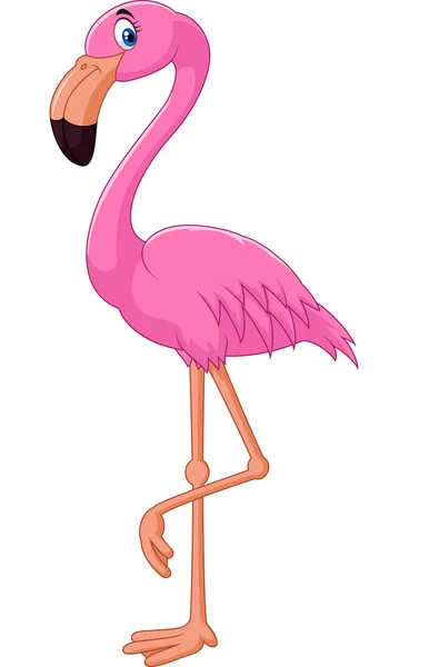 Karikatür flamingo kuşu — Stok Vektör