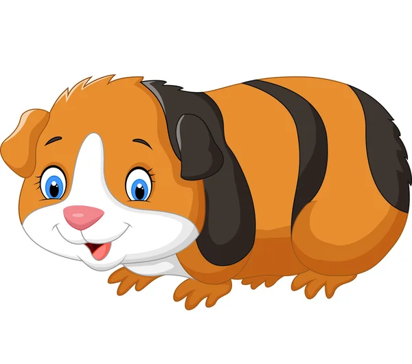 Featured image of post Clipart Cartoon Guinea Pig Here presented 51 guinea pig cartoon drawing images for free to download print or share