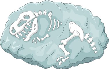 Tyrannosaurus rex fosil cartoon