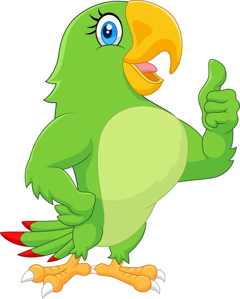 Cartoon papegoja ger tummen upp — Stock vektor