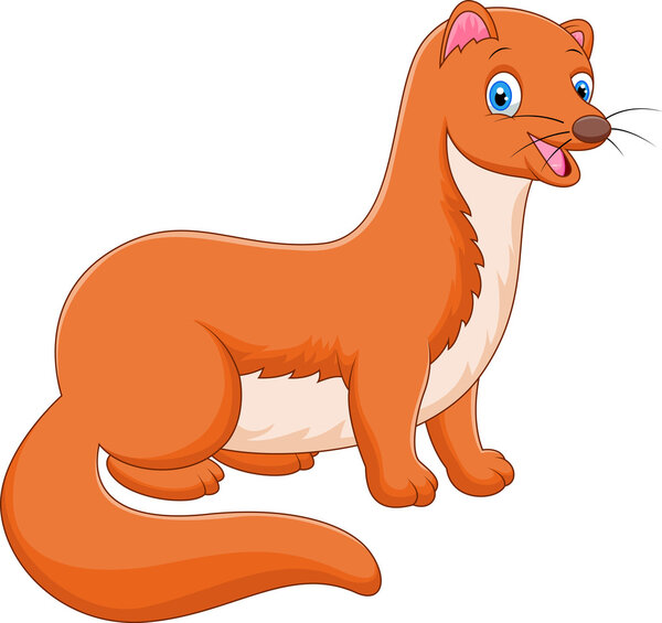 Cute Weasel Animal cartoon