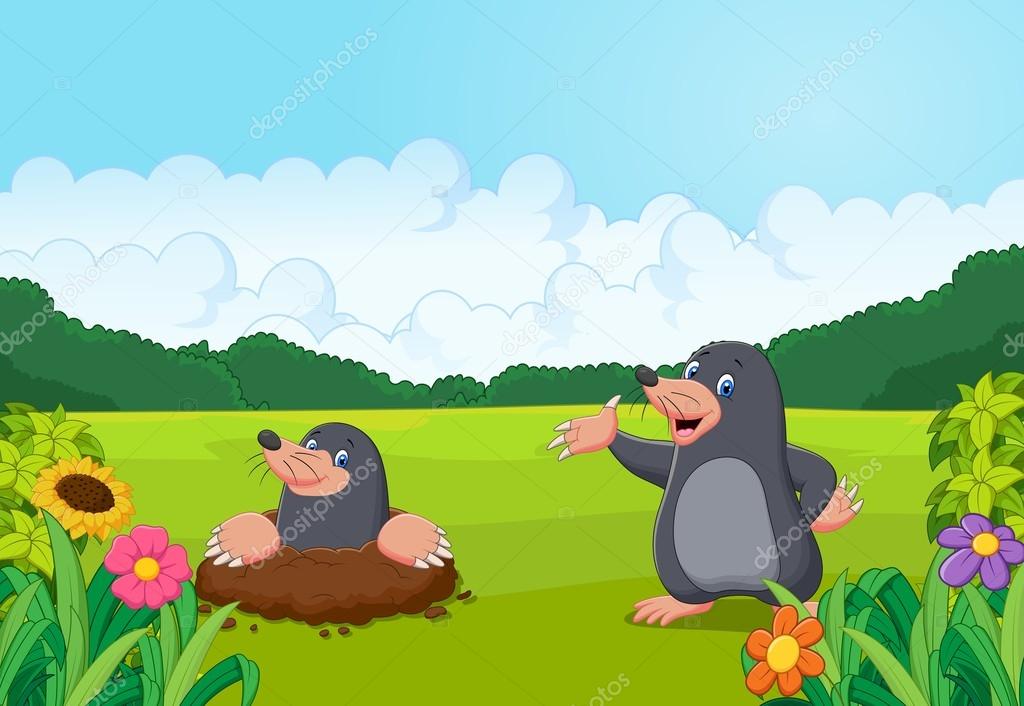 Cartoon happy mole in the forest