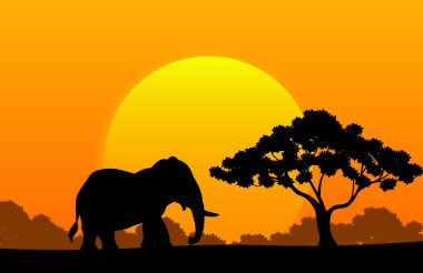 Cartoon animal elephant in the africa