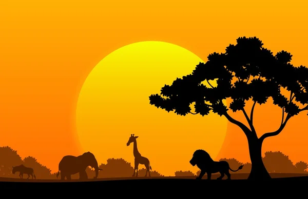 Kreslený kolekce zvířat v Africe — Stockový vektor
