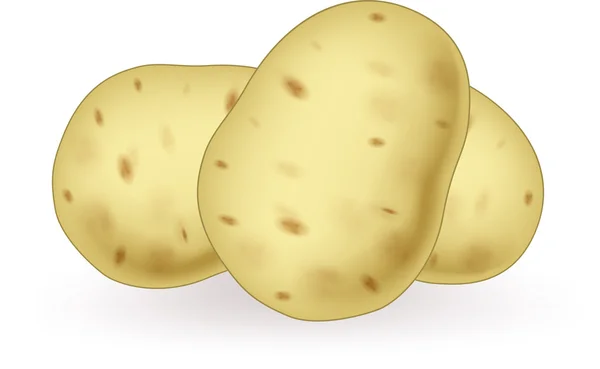 Kartun kentang - Stok Vektor