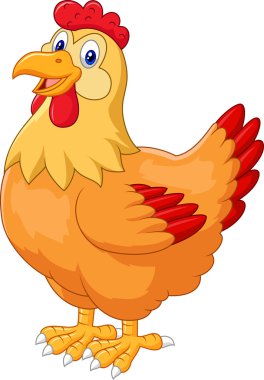 Tavuk şirin poz tavuk