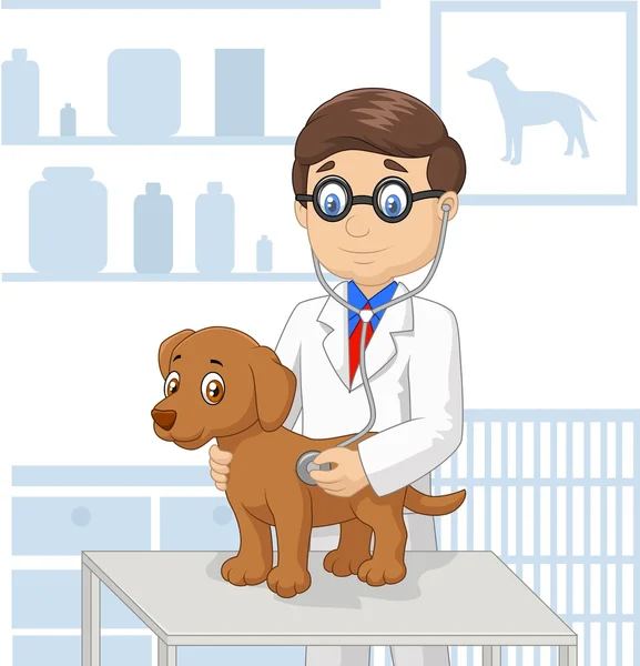 Dibujos animados veterinario perro examinador — Vector de stock