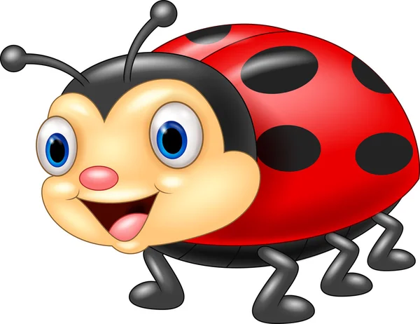 Cute ladybug cartoon — Stock Vector