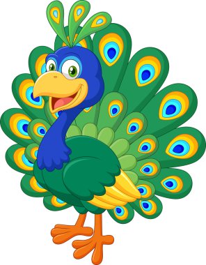 Güzel tavuskuşu beyaz arka plan üzerinde izole karikatür