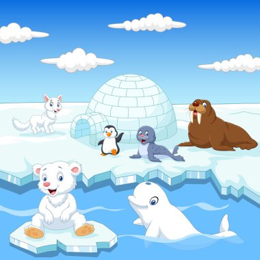 Lastik hayvan koleksiyonu Igloo Ice house ile ayarla