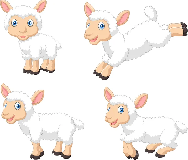 Cute cartoon sheep collection set, isolated on white background — Stock Vector